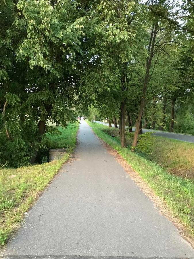 Gawramaszki - Agroturystyka - Komfortowe Pokoje Z Lazienkami I Aneksami Kuchennymi Węgorzewo Eksteriør bilde